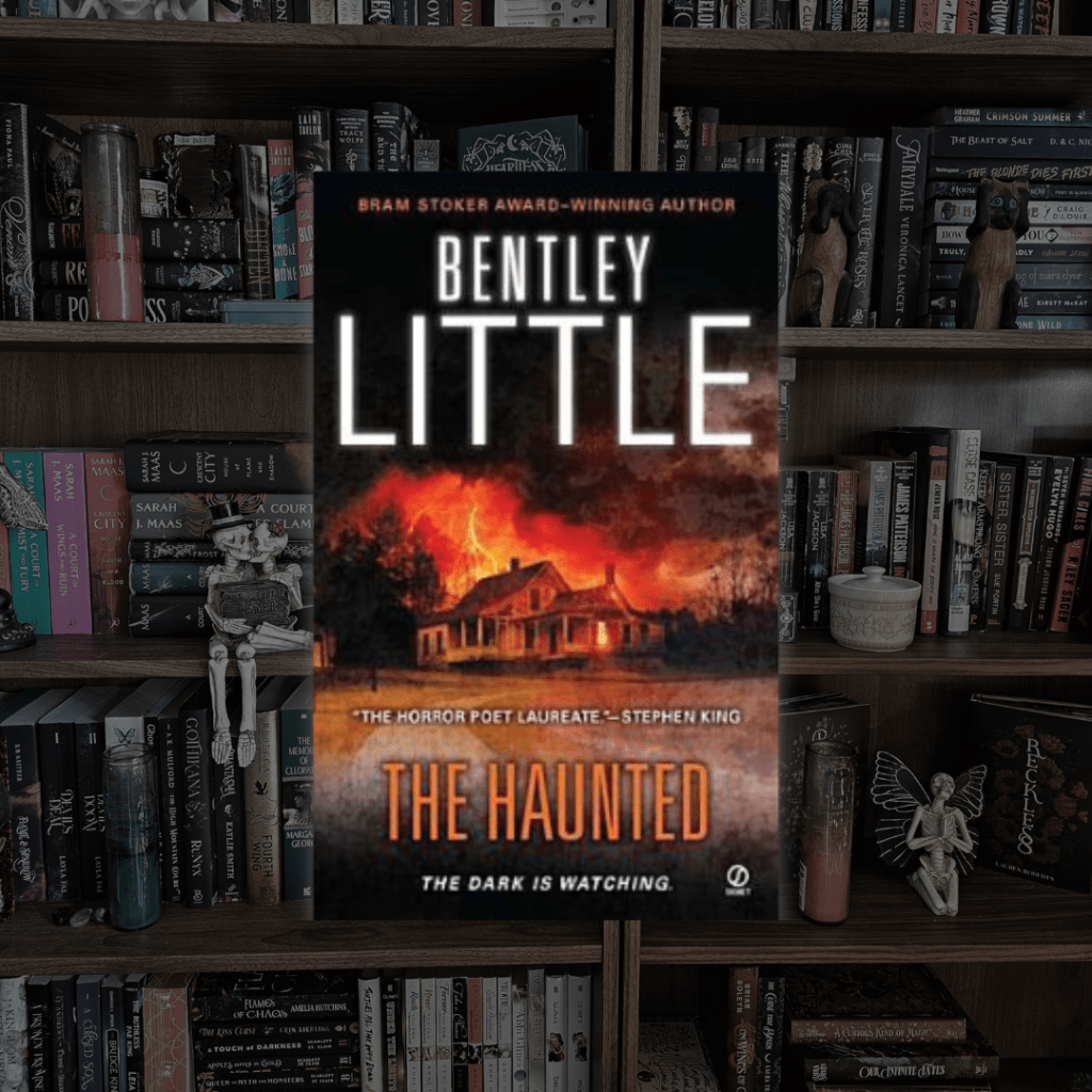 Demons & Weird&nbsp;S3x